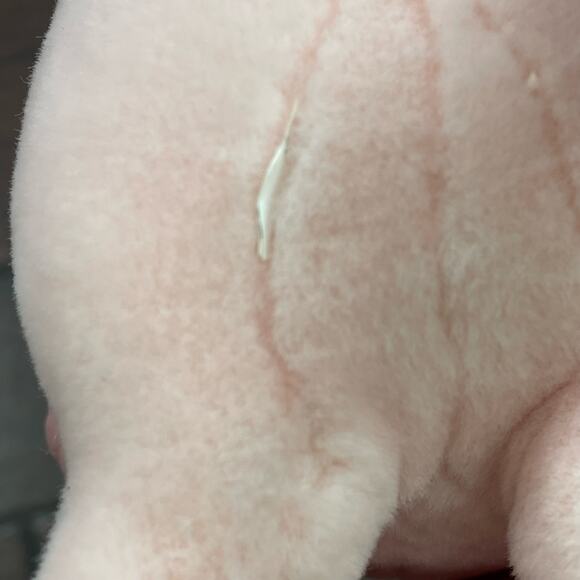 Realistic Pig Plush Pink Piglet Rigid Stuffed Animal No Tush Tag Stiff Toy READ - Picture 11 of 12